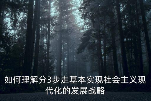 如何理解分3步走基本實現社會主義現代化的發展戰略