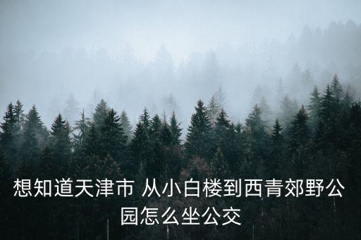 想知道天津市 從小白樓到西青郊野公園怎么坐公交