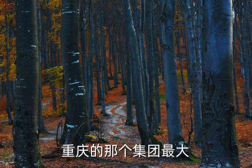 重慶的那個集團最大