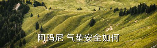 阿瑪尼 氣墊安全如何