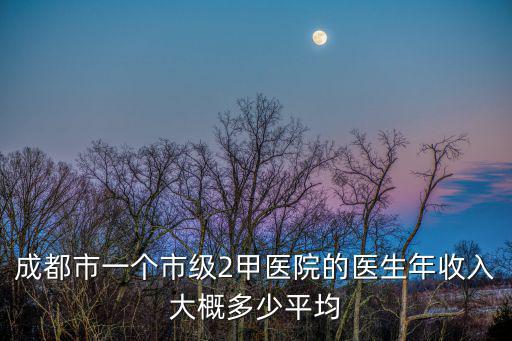 成都市一個市級2甲醫院的醫生年收入大概多少平均
