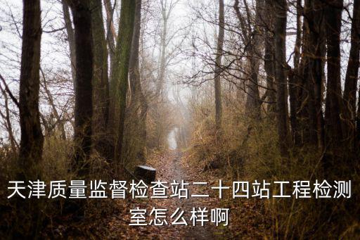 天津質量監督檢查站二十四站工程檢測室怎么樣啊