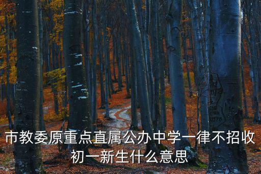 市教委原重點直屬公辦中學一律不招收初一新生什么意思
