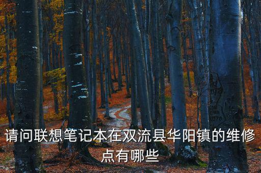 請(qǐng)問(wèn)聯(lián)想筆記本在雙流縣華陽(yáng)鎮(zhèn)的維修點(diǎn)有哪些