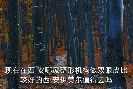 天津市伊美爾安主任做眼線怎么樣，不知道西k安伊美爾口碑怎么樣呢
