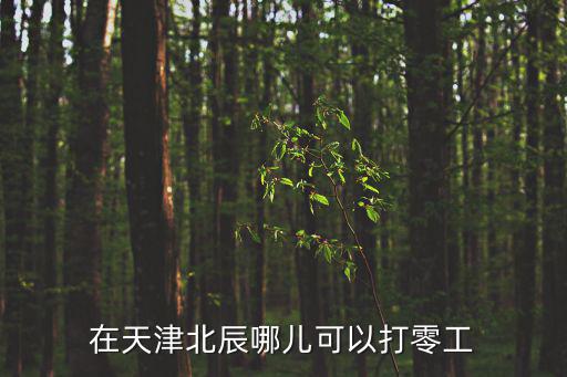 天津市北辰區工地，在天津北辰哪兒可以打零工