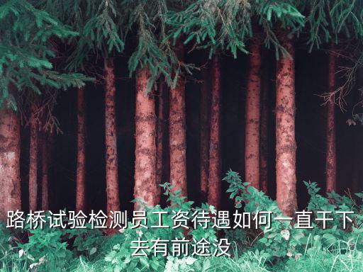 路橋試驗檢測員工資待遇如何一直干下去有前途沒
