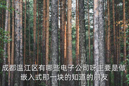 成都溫江區有哪些電子公司呀主要是做嵌入式那一塊的知道的朋友