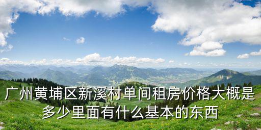 廣州黃埔區新溪村單間租房價格大概是多少里面有什么基本的東西