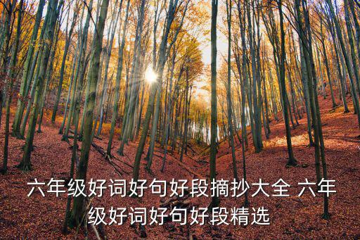  六年級好詞好句好段摘抄大全 六年級好詞好句好段精選