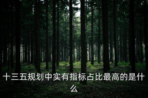 十三五規(guī)劃中實有指標(biāo)占比最高的是什么