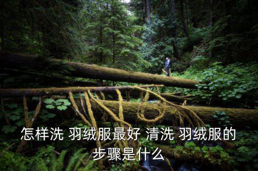 羽絨服清洗,第二集:如何洗羽絨服?