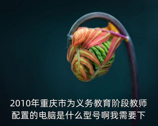 2010年重慶市為義務(wù)教育階段教師配置的電腦是什么型號(hào)啊我需要下