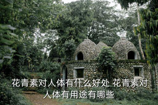  花青素對人體有什么好處 花青素對人體有用途有哪些