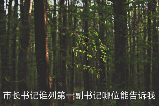 市長書記誰列第一副書記哪位能告訴我