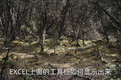 EXCEL上面的工具欄如何顯示出來