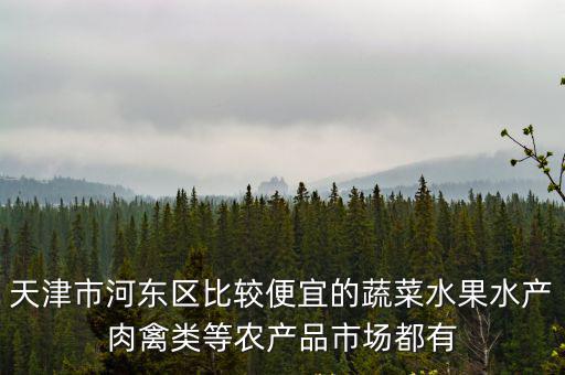 天津市河東區比較便宜的蔬菜水果水產肉禽類等農產品市場都有