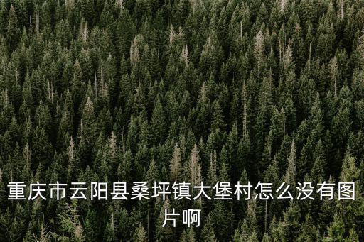 重慶市云陽(yáng)縣桑坪鎮(zhèn)大堡村怎么沒(méi)有圖片啊