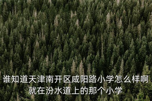 誰知道天津南開區咸陽路小學怎么樣啊就在汾水道上的那個小學