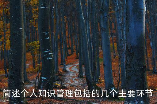 簡述個人知識管理包括的幾個主要環節