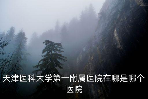 天津醫科大學第一附屬醫院在哪是哪個醫院
