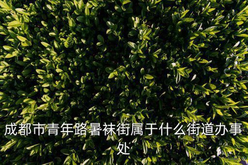 成都市青年路暑襪街屬于什么街道辦事處