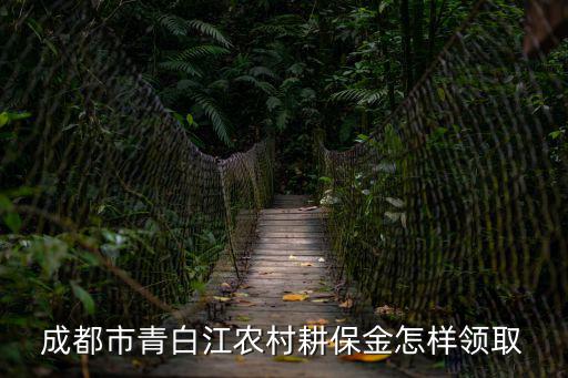 成都市耕保金的用途，四川省成都市雙流縣是否有這樣的規定必須買保險才能領取耕?；?/></a></span><span id=