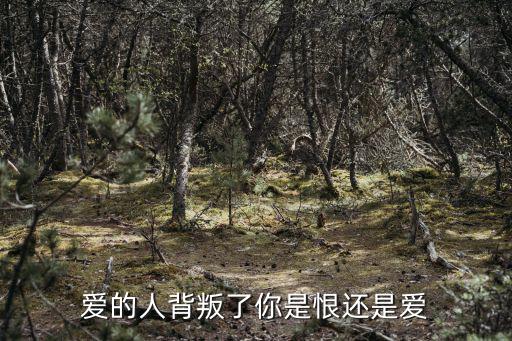 愛的人背叛了你是恨還是愛