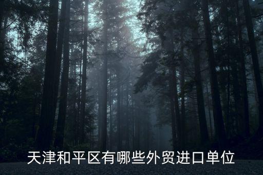 天津和平區(qū)有哪些外貿(mào)進(jìn)口單位