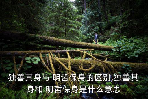 明哲保身,明哲保身，一夜解匪照顧一人!