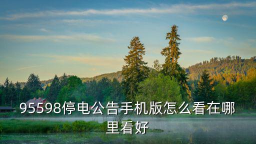 天津市電力公司停電公告，在哪里可以看到95598的停電公告