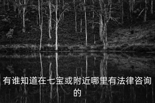 有誰知道在七寶或附近哪里有法律咨詢的