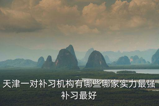天津一對補習機構有哪些哪家實力最強補習最好