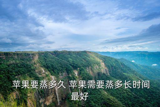 蒸蘋果,蘋果切成小塊放入小碗中蒸5分鐘