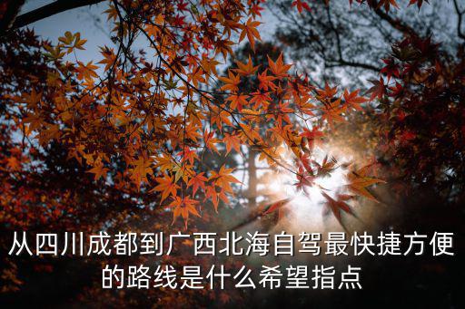 從四川成都到廣西北海自駕最快捷方便的路線是什么希望指點(diǎn)