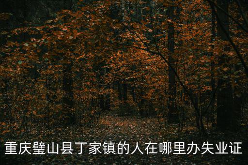 重慶璧山縣丁家鎮的人在哪里辦失業證