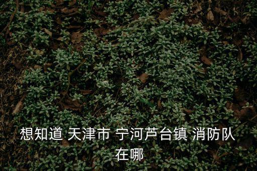 想知道 天津市 寧河蘆臺鎮 消防隊 在哪