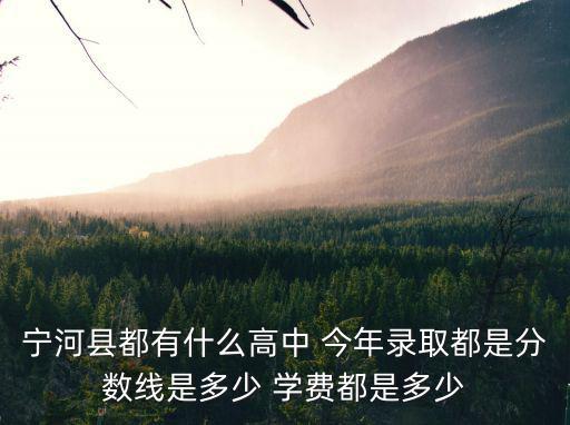 天津市寧河區第二中學成績查詢，2016寧河縣潘莊高中錄取分數