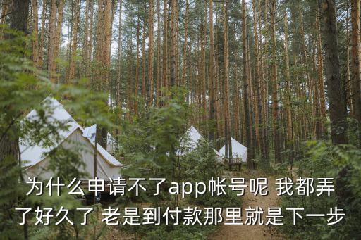 為什么申請(qǐng)不了app帳號(hào)呢 我都弄了好久了 老是到付款那里就是下一步
