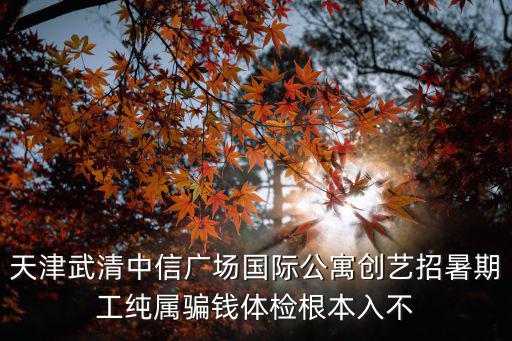 天津武清中信廣場國際公寓創(chuàng)藝招暑期工純屬騙錢體檢根本入不