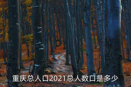 重慶總人口2021總人數口是多少