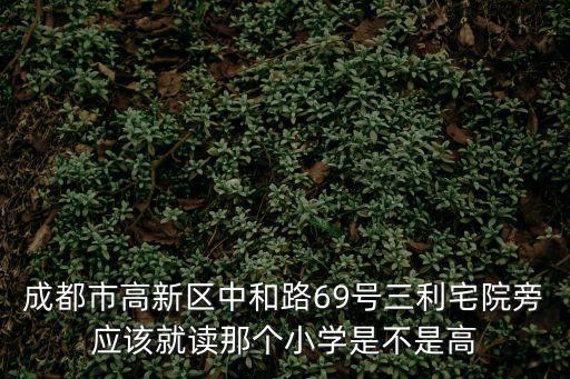 成都市高新區中和路69號三利宅院旁應該就讀那個小學是不是高