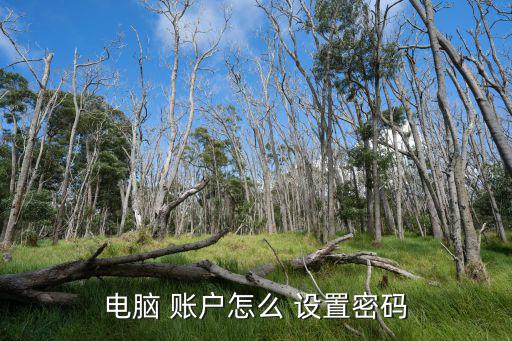 電腦 賬戶怎么 設置密碼