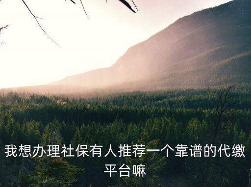 正規(guī)社保代繳，有沒(méi)有正規(guī)的代繳社保