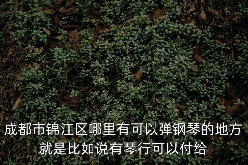 成都市錦江區哪里有可以彈鋼琴的地方就是比如說有琴行可以付給
