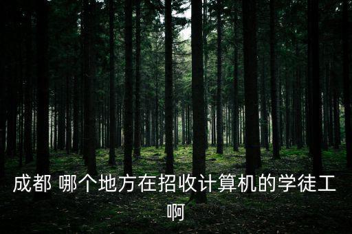 成都 哪個地方在招收計算機的學徒工啊