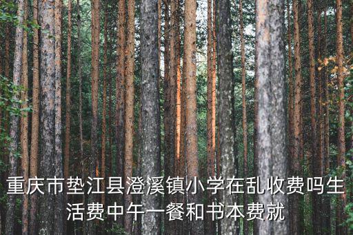 重慶市墊江縣澄溪鎮(zhèn)小學在亂收費嗎生活費中午一餐和書本費就