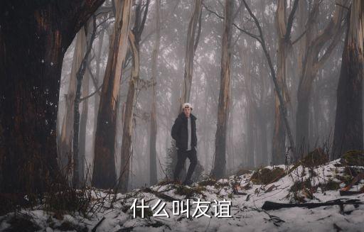 什么是友誼，什么叫友誼