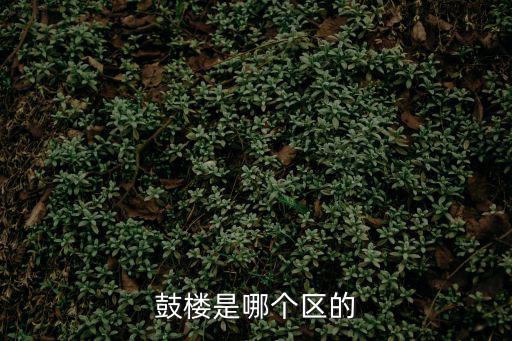 鼓樓是哪個(gè)區(qū)的