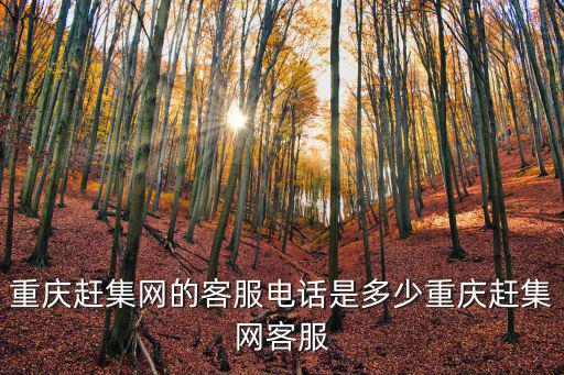 重慶市清顏堂客服電話，重慶趕集網的客服電話是多少重慶趕集網客服